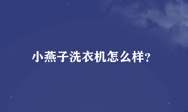 小燕子洗衣机怎么样？