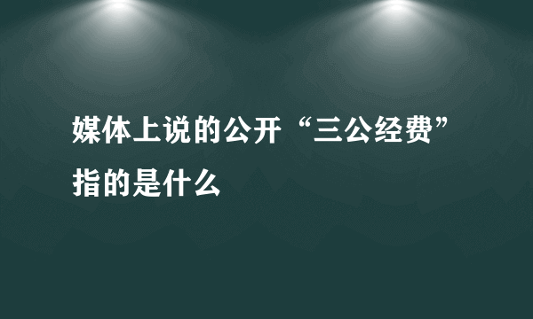 媒体上说的公开“三公经费”指的是什么