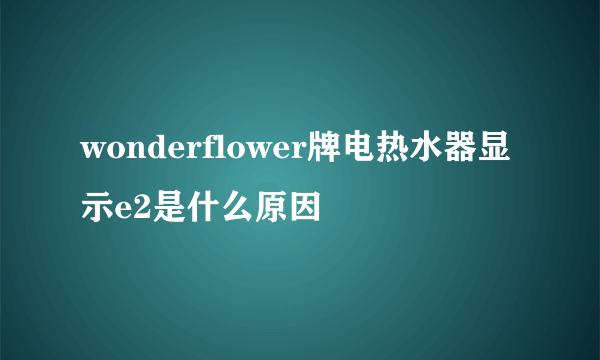 wonderflower牌电热水器显示e2是什么原因