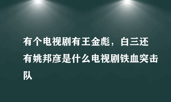 有个电视剧有王金彪，白三还有姚邦彦是什么电视剧铁血突击队