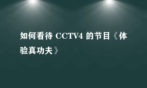 如何看待 CCTV4 的节目《体验真功夫》