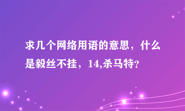 求几个网络用语的意思，什么是毅丝不挂，14,杀马特？