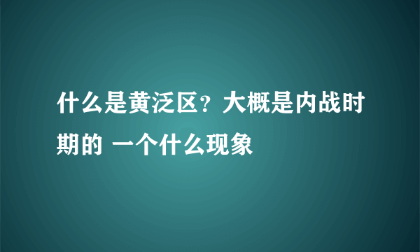 什么是黄泛区？大概是内战时期的 一个什么现象