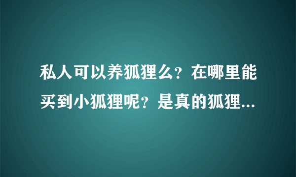 私人可以养狐狸么？在哪里能买到小狐狸呢？是真的狐狸，不是博美之类的狐狸犬