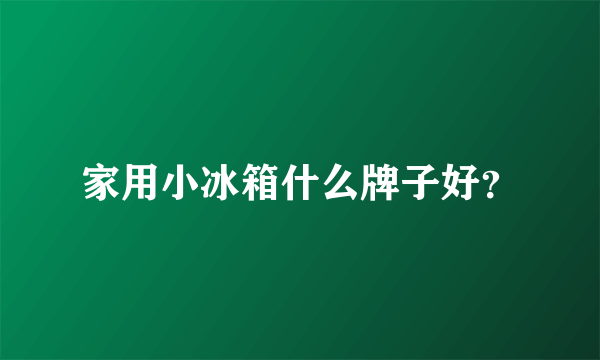 家用小冰箱什么牌子好？