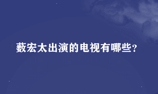 薮宏太出演的电视有哪些？