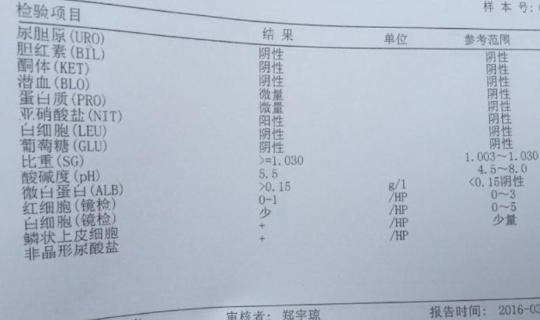 尿检 蛋白质+2是什么意思