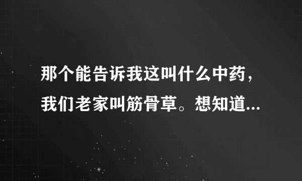 那个能告诉我这叫什么中药，我们老家叫筋骨草。想知道它真正的名字以及用途，谢谢。上面 结出来的不是虫子