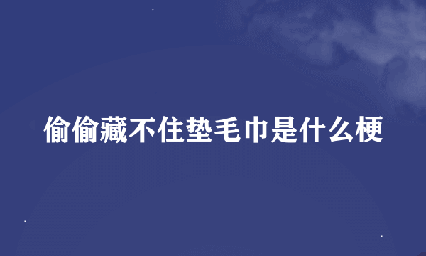 偷偷藏不住垫毛巾是什么梗