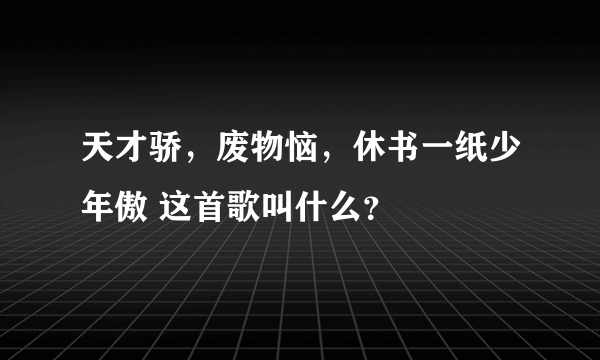 天才骄，废物恼，休书一纸少年傲 这首歌叫什么？