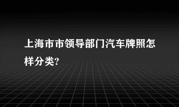 上海市市领导部门汽车牌照怎样分类?