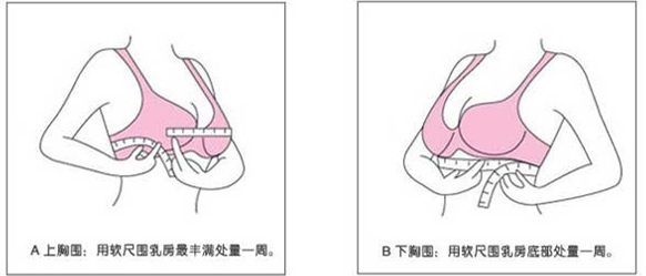 请问文胸上的32、34、36码指什么？70、75、80码呢？