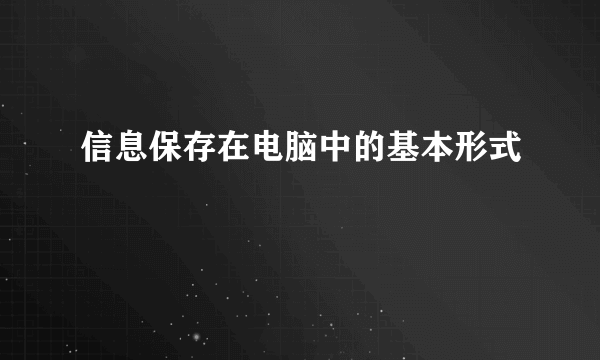 信息保存在电脑中的基本形式