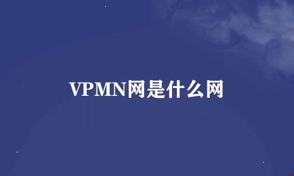 VPMN网是什么网