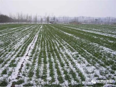 寒潮橙色预警，局地降温超16度，有哪些地区会迎来雨雪？