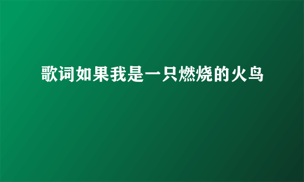 歌词如果我是一只燃烧的火鸟