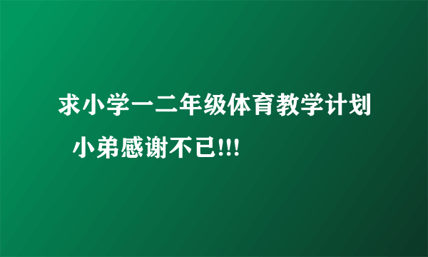 求小学一二年级体育教学计划  小弟感谢不已!!!