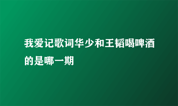 我爱记歌词华少和王韬喝啤酒的是哪一期