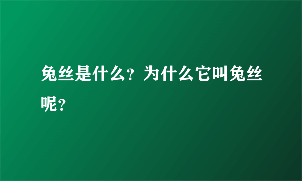 兔丝是什么？为什么它叫兔丝呢？