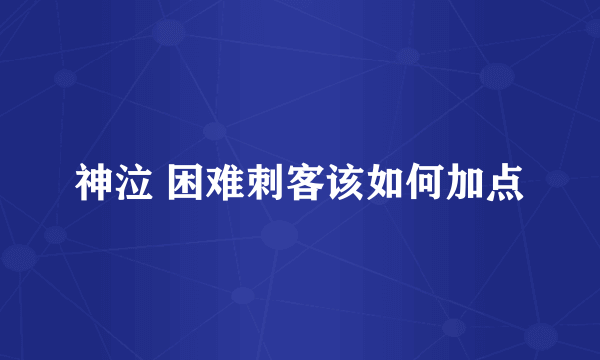 神泣 困难刺客该如何加点