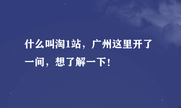 什么叫淘1站，广州这里开了一间，想了解一下！