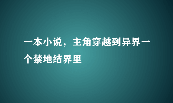 一本小说，主角穿越到异界一个禁地结界里