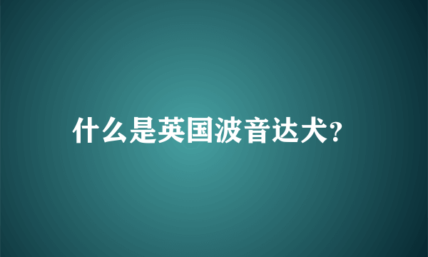 什么是英国波音达犬？