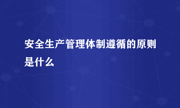 安全生产管理体制遵循的原则是什么