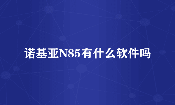 诺基亚N85有什么软件吗