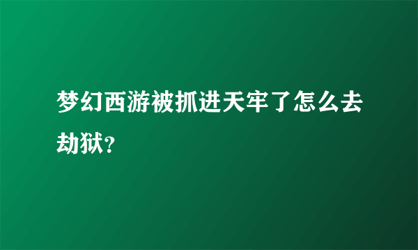 梦幻西游被抓进天牢了怎么去劫狱？