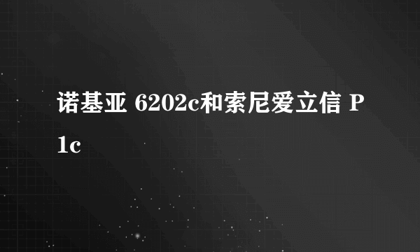 诺基亚 6202c和索尼爱立信 P1c