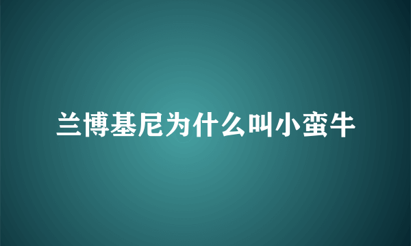 兰博基尼为什么叫小蛮牛