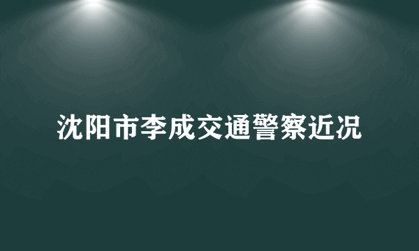 沈阳市李成交通警察近况