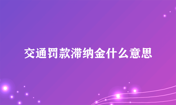 交通罚款滞纳金什么意思