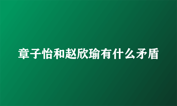 章子怡和赵欣瑜有什么矛盾