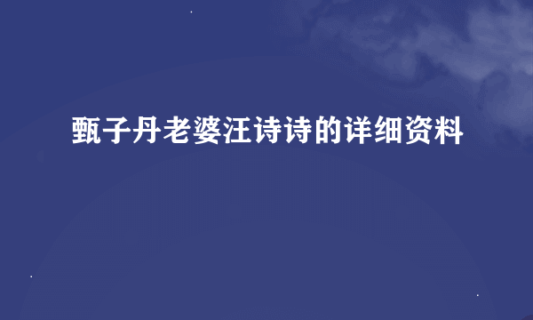 甄子丹老婆汪诗诗的详细资料