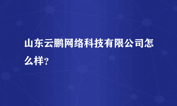 山东云鹏网络科技有限公司怎么样？