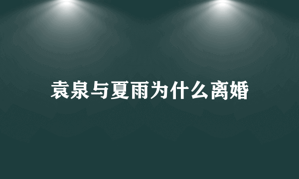 袁泉与夏雨为什么离婚