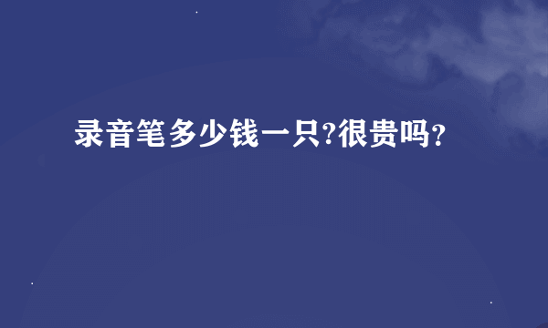 录音笔多少钱一只?很贵吗？