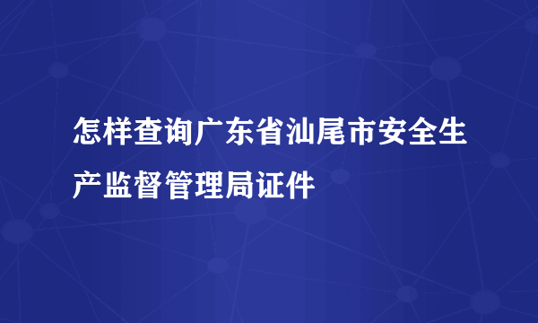 怎样查询广东省汕尾市安全生产监督管理局证件