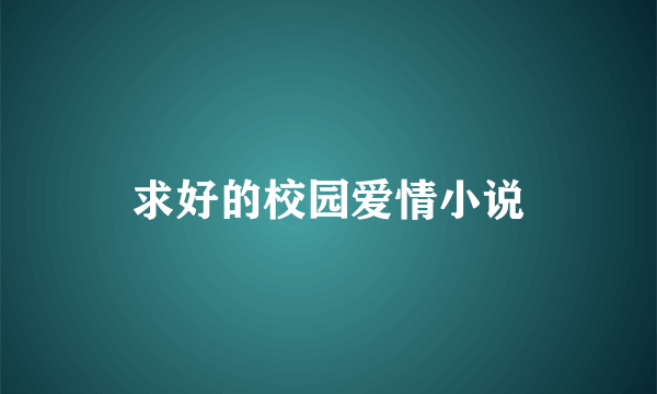 求好的校园爱情小说