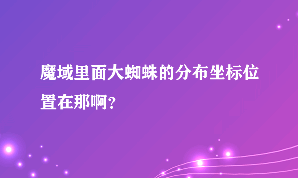 魔域里面大蜘蛛的分布坐标位置在那啊？