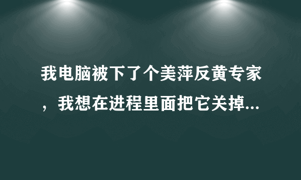 我电脑被下了个美萍反黄专家，我想在进程里面把它关掉，有谁知道它的进程名字叫什么啊？谢谢！