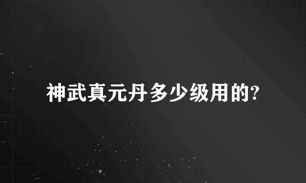 神武真元丹多少级用的?