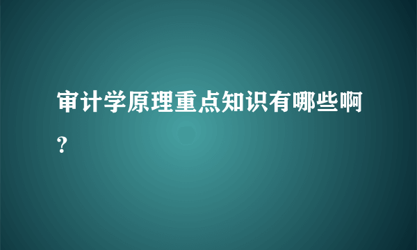 审计学原理重点知识有哪些啊？