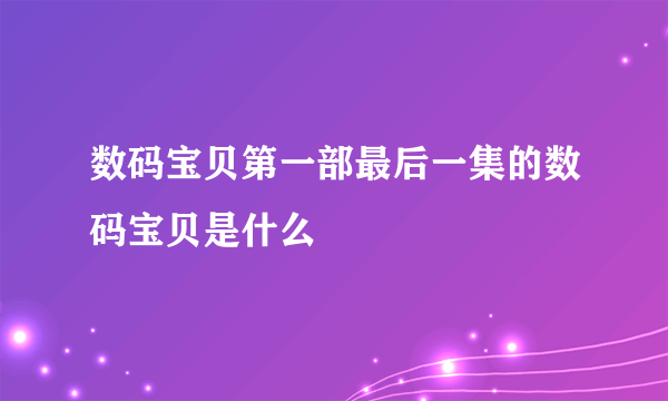 数码宝贝第一部最后一集的数码宝贝是什么