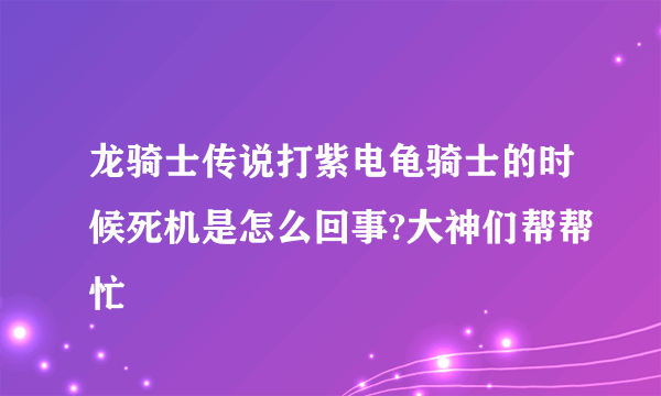 龙骑士传说打紫电龟骑士的时候死机是怎么回事?大神们帮帮忙