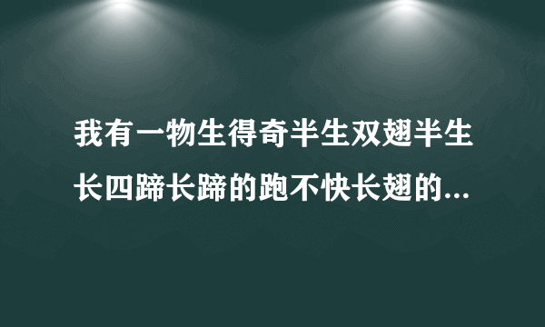 我有一物生得奇半生双翅半生长四蹄长蹄的跑不快长翅的飞不好打一字