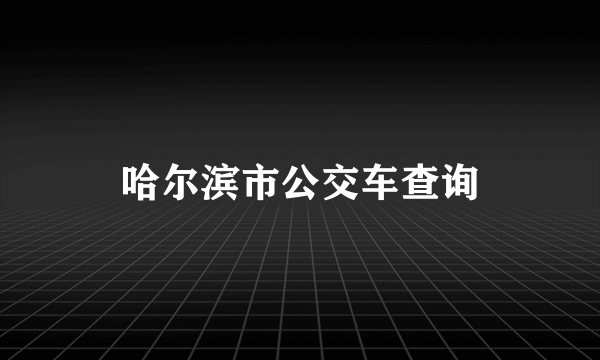 哈尔滨市公交车查询