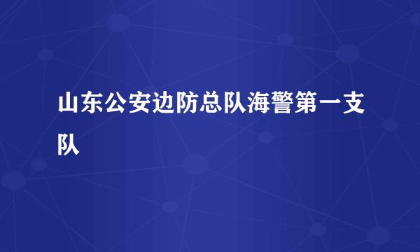 山东公安边防总队海警第一支队